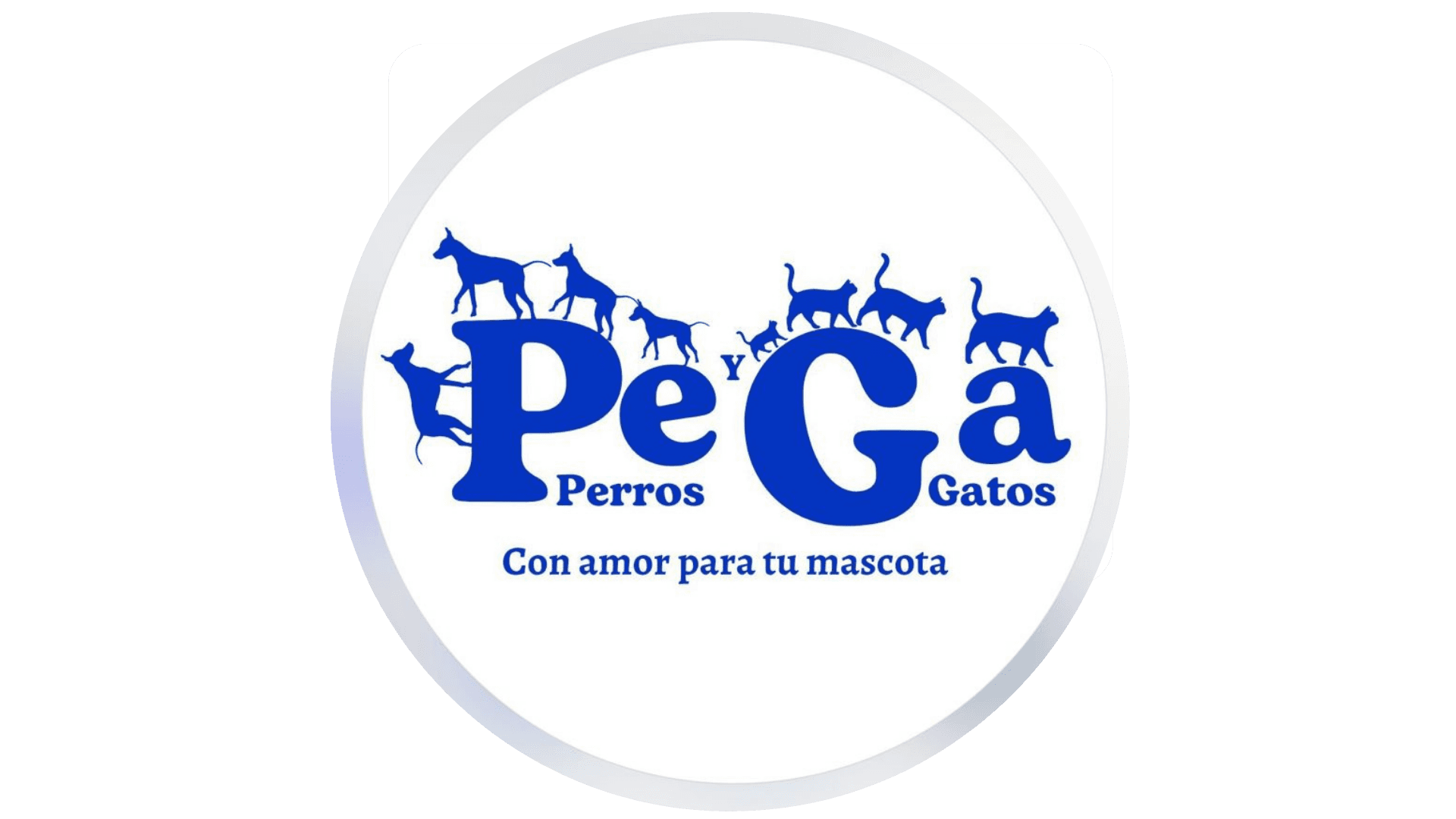 Peyga logo